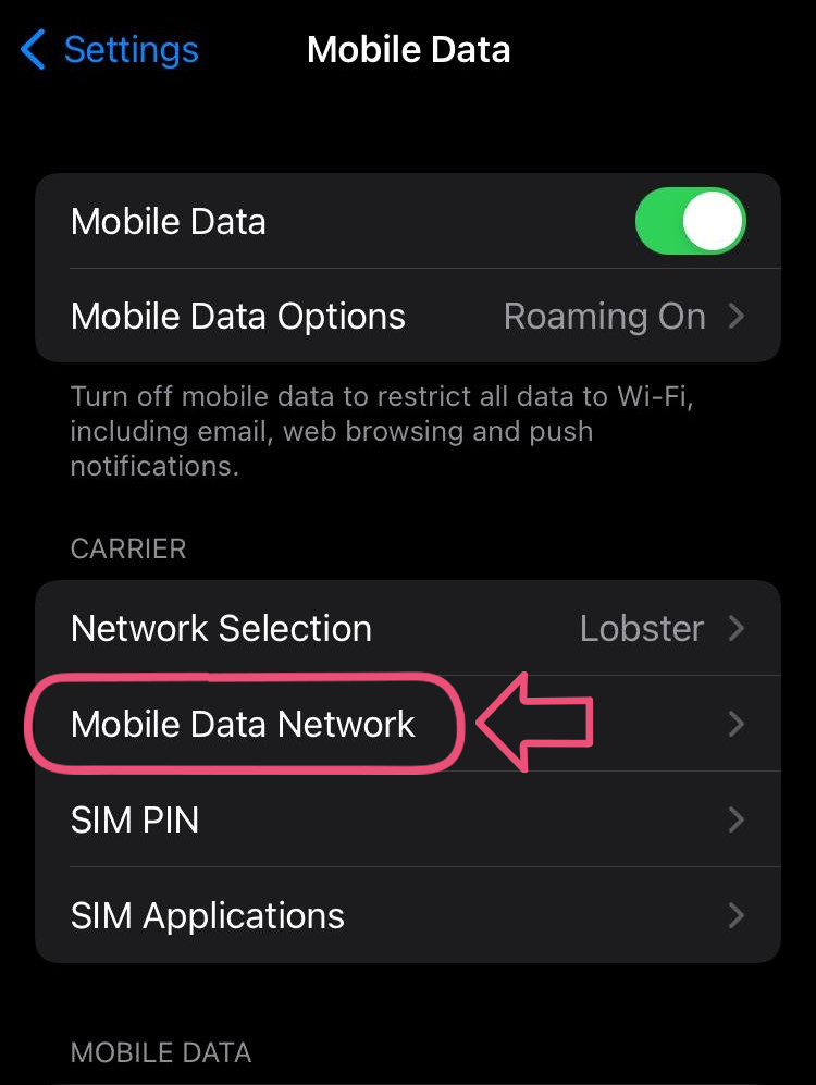 ios settings 2 mobile data network