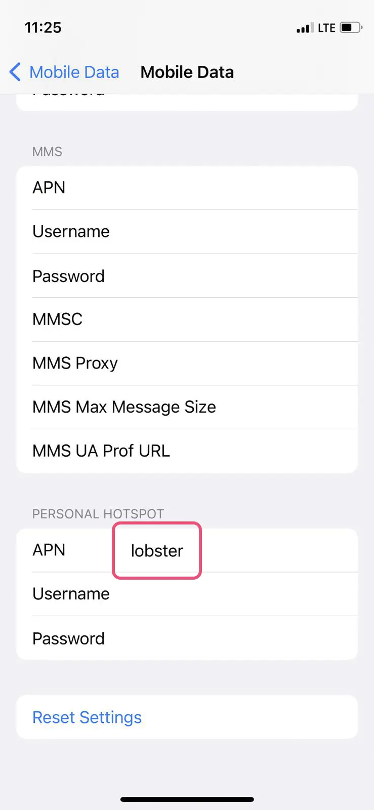 lobster ios roaming apn lobster en2